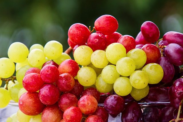 Download free HD stock image of Grapes Fruit uvas no cacho