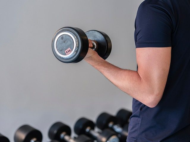 Download free HD stock image of Weight Dumbbell "Treino para hipertrofia - processo científico de como montar uma dieta para ganhar massa muscular